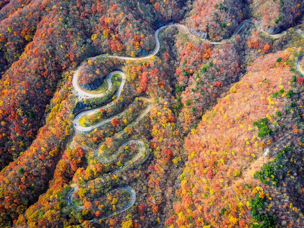 關東・紅葉追楓團